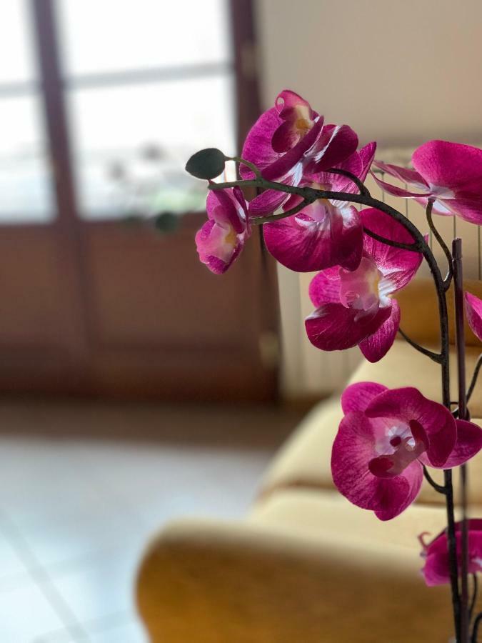Villino Al Dotto Country House Lucca Ngoại thất bức ảnh