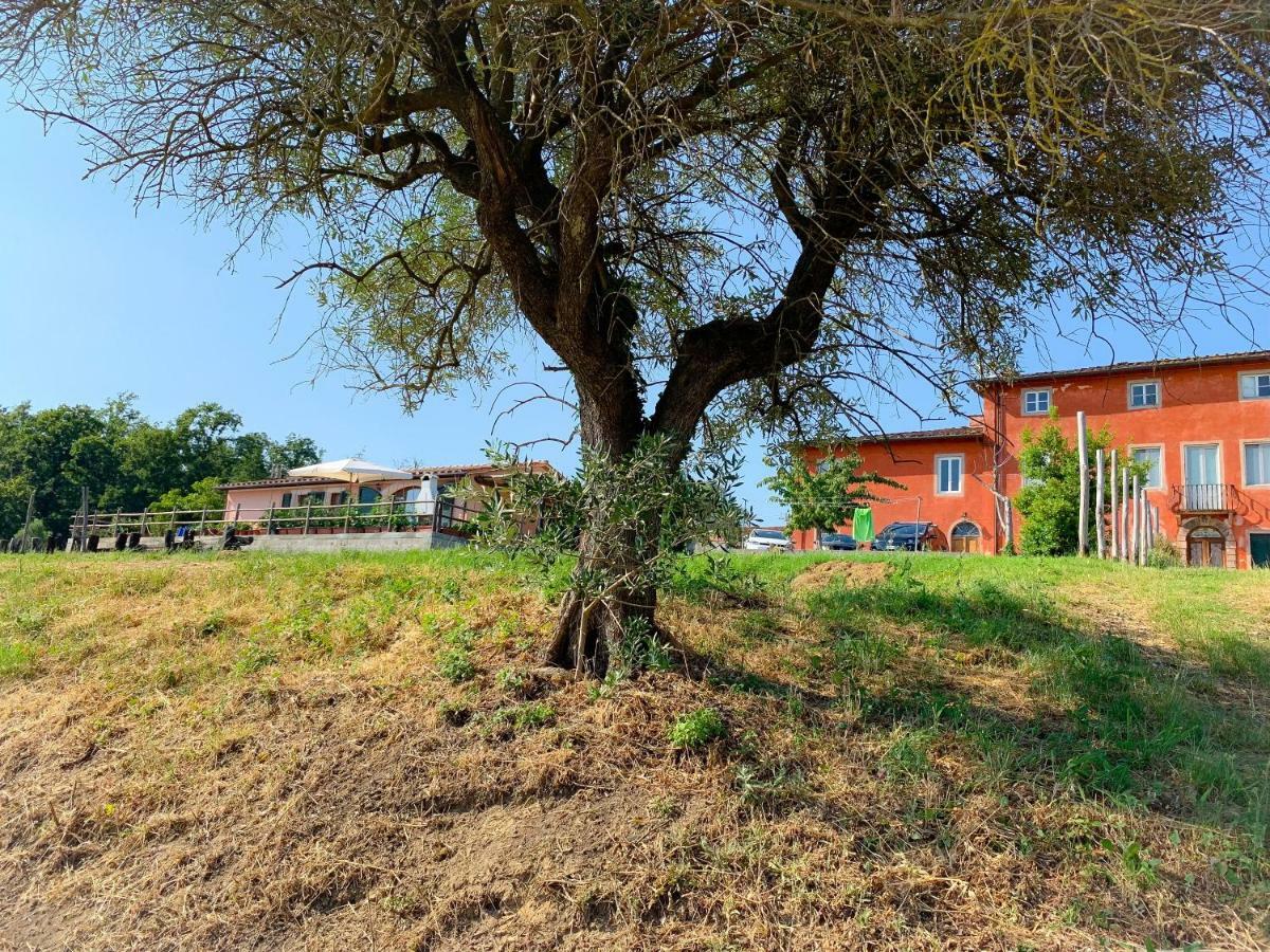 Villino Al Dotto Country House Lucca Ngoại thất bức ảnh